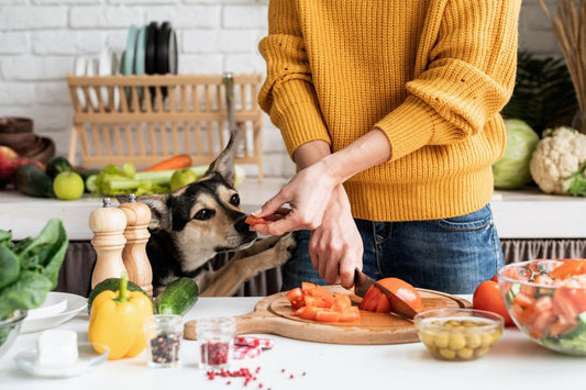 5 Safe Fruits and Veggies to Boost Your Pet’s Meal