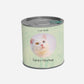 Kiwi Wet Cat Food